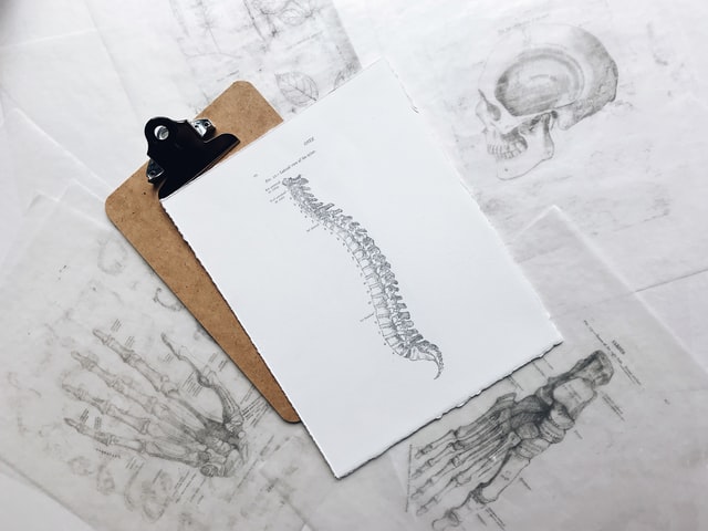 drawing of a spinal cord on a clipboard on a table