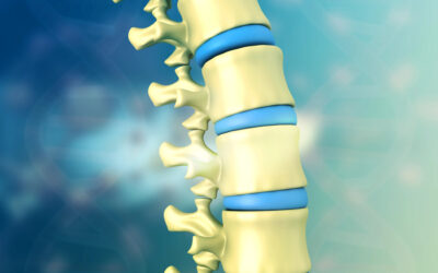 MS Spinal Cord Lesions: Everything You Need to Know
